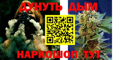 дмт Бийск