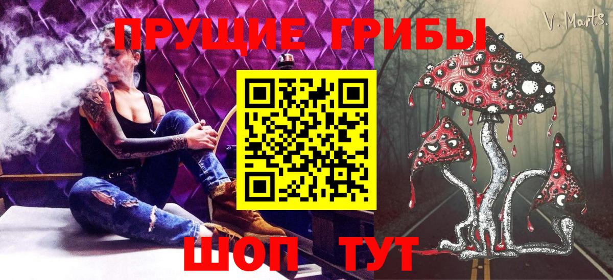 Псилоцибиновые грибы Cubensis Будённовск