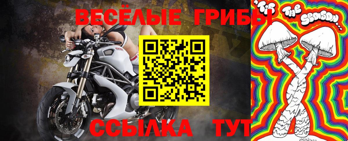 Псилоцибиновые грибы GOLDEN TEACHER Будённовск