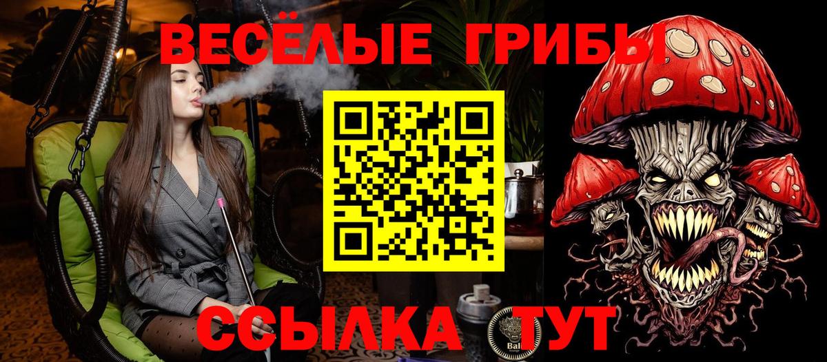 Будённовск  Галлюциногенные грибы Psilocybe  наркотики  Галлюциногенные грибы мицелий  Вход с VPN 