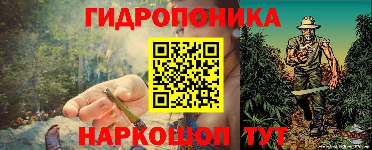Марихуана марихуана  Вход с VPN  Будённовск  Бошки марихуана AK-47  Бошки Шишки THC 21%  Канабис семена 